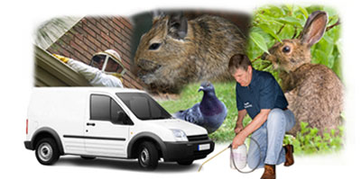Tadworth local van